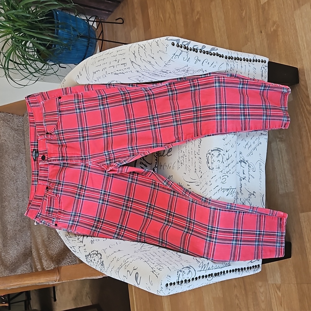 wild fable Red Plaid Skinny Pants